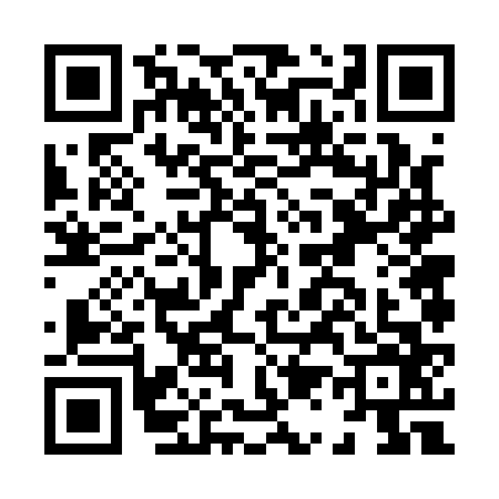QR code for H161667