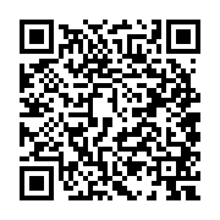 QR code for H162409