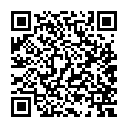 QR code for H163064