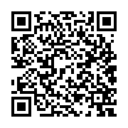 QR code for H163267