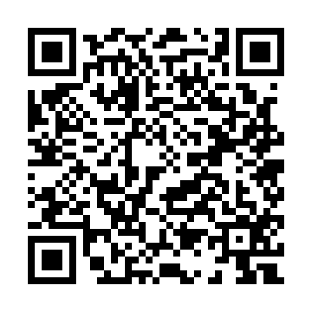 QR code for H171163