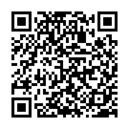 QR code for H17301
