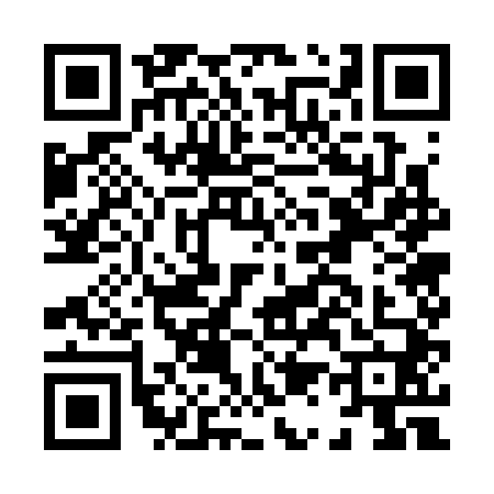 QR code for H173405
