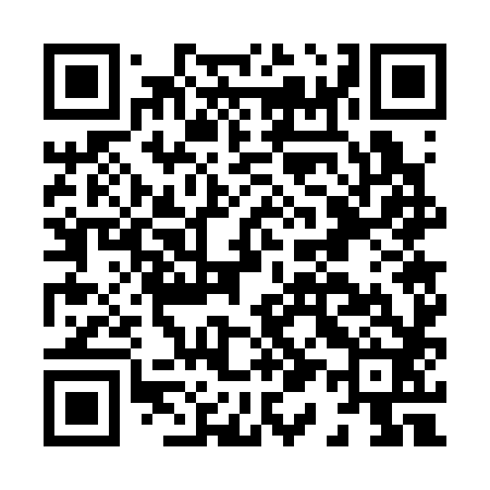 QR code for H17382