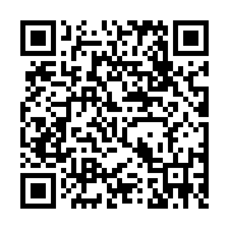 QR code for H17516