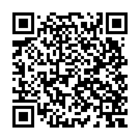 QR code for H17646