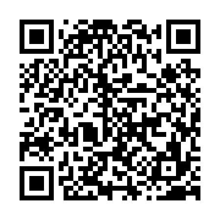 QR code for H19236