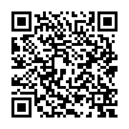 QR code for H196231