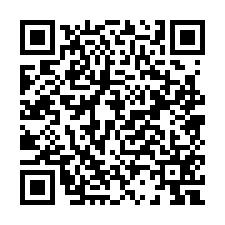 QR code for H203550