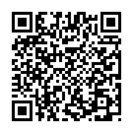 QR code for H204100