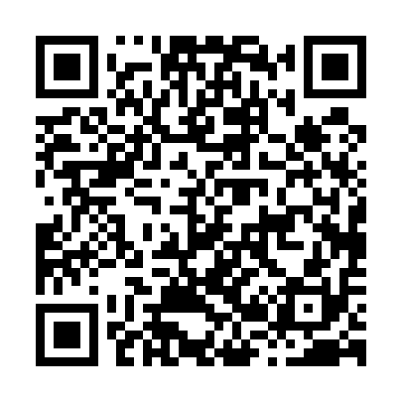 QR code for H20510