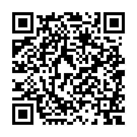 QR code for H207808