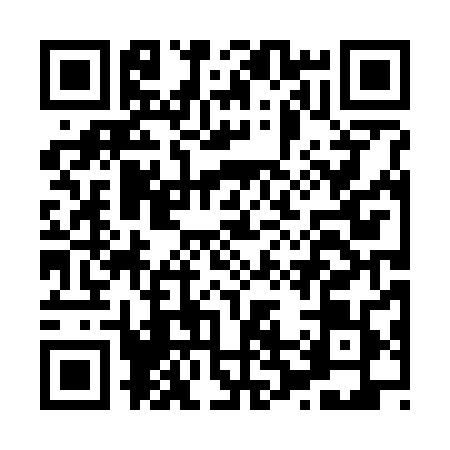 QR code for H207894