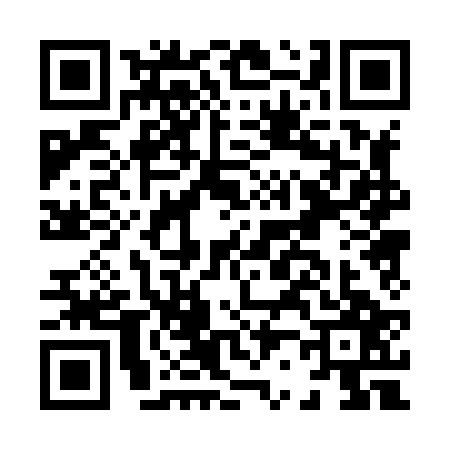 QR code for H208271