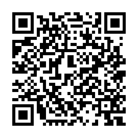 QR code for H213565