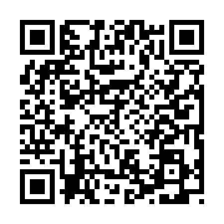 QR code for H215384