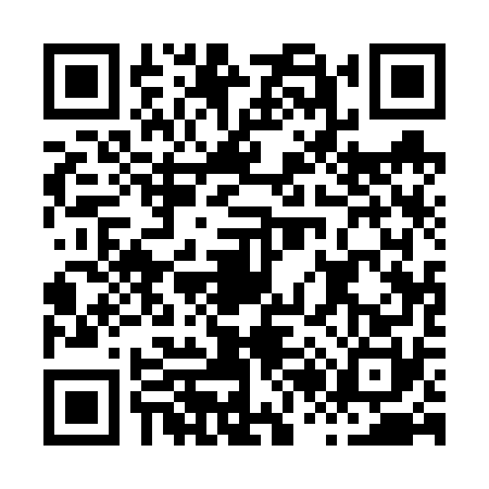 QR code for H216709