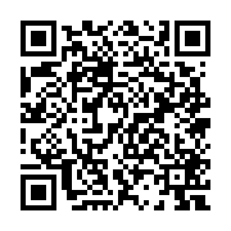 QR code for H217493