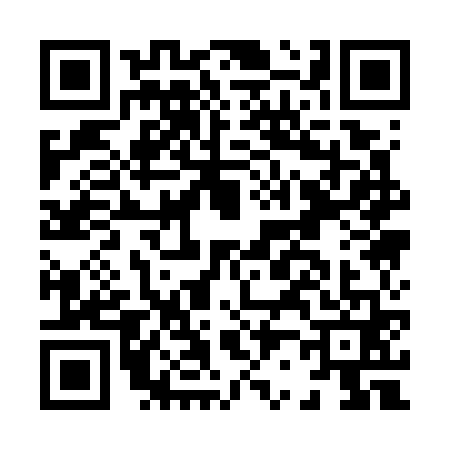 QR code for H217613