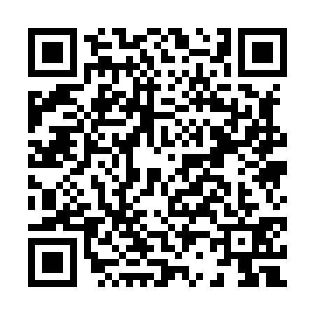 QR code for H218314