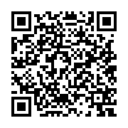 QR code for H221241