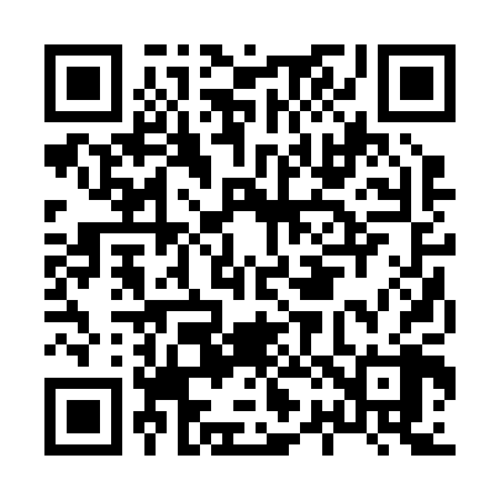 QR code for H22208