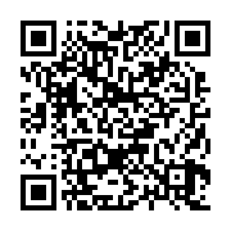 QR code for H22228