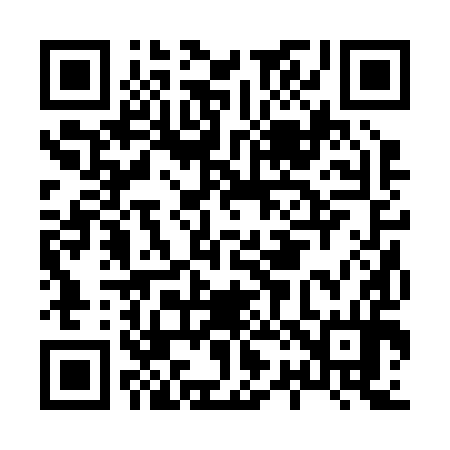 QR code for H22294