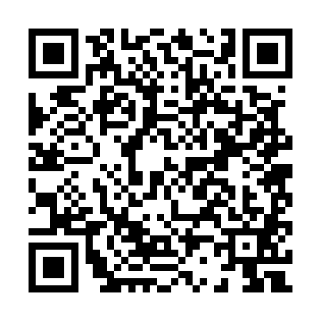 QR code for H225819