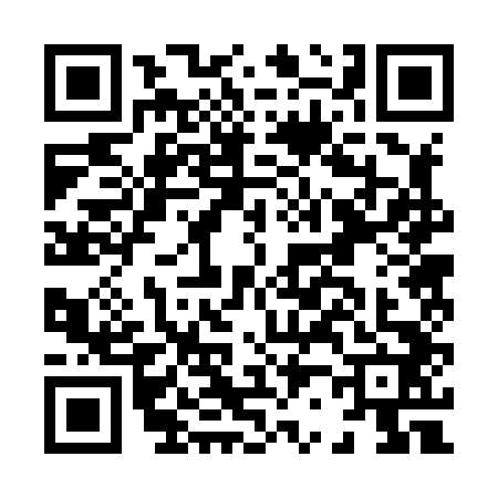 QR code for H228420