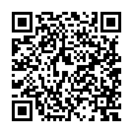 QR code for H228871