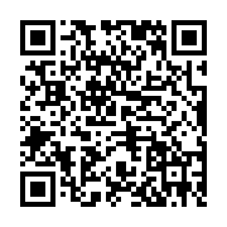 QR code for H243500