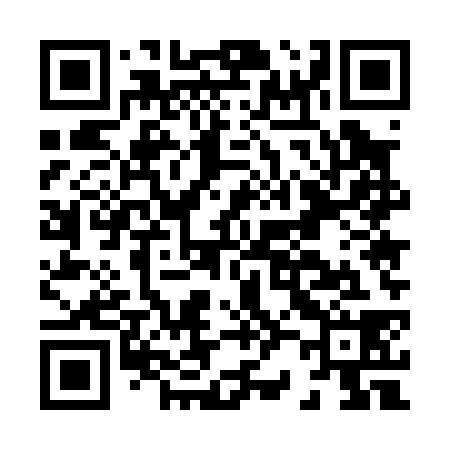 QR code for H25038
