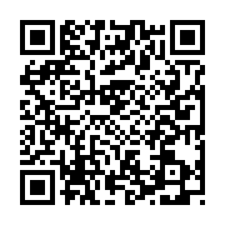 QR code for H256336