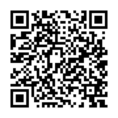 QR code for H273025