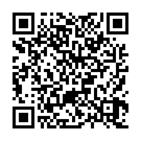QR code for H28528