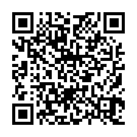 QR code for H29020