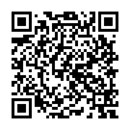 QR code for H29199