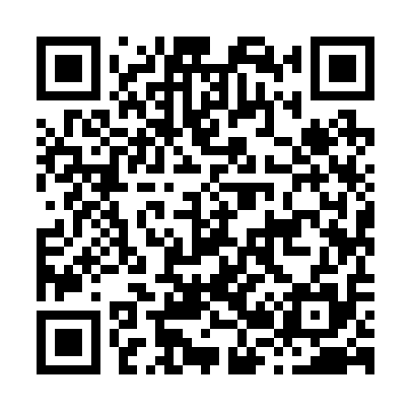 QR code for H29215