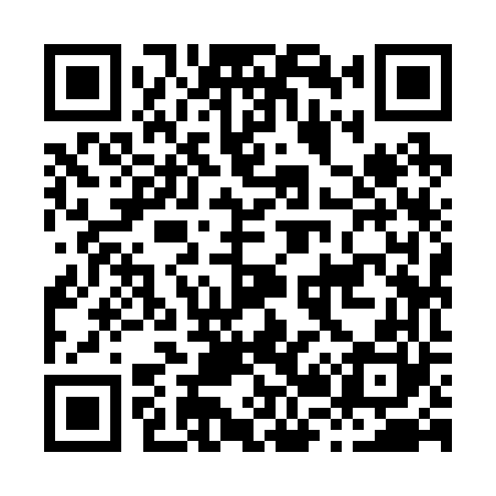 QR code for H29260