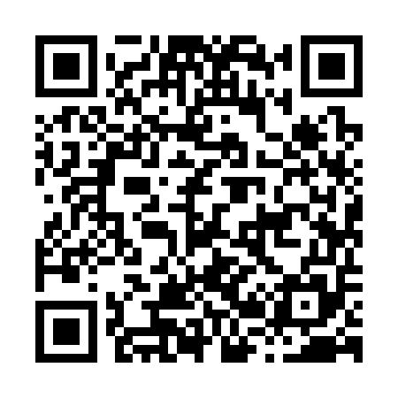 QR code for H29355