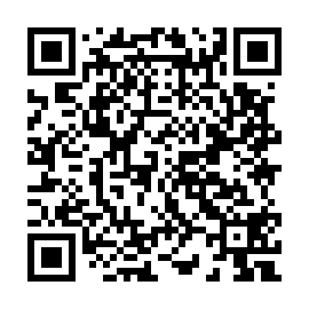 QR code for H29518