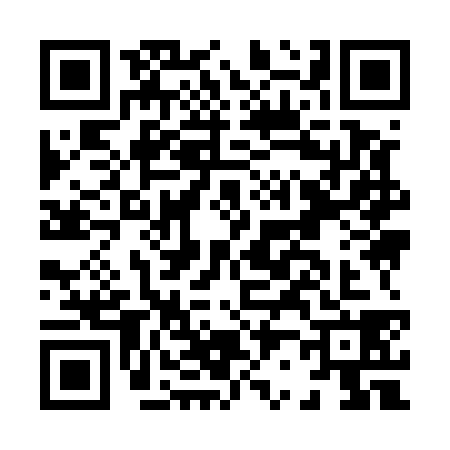 QR code for H295387