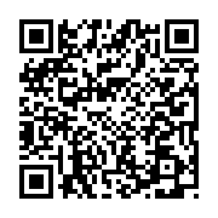 QR code for H295520