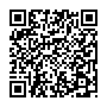 QR code for H295654