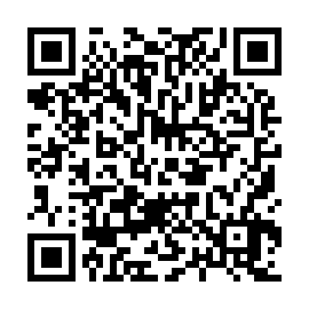 QR code for H29926