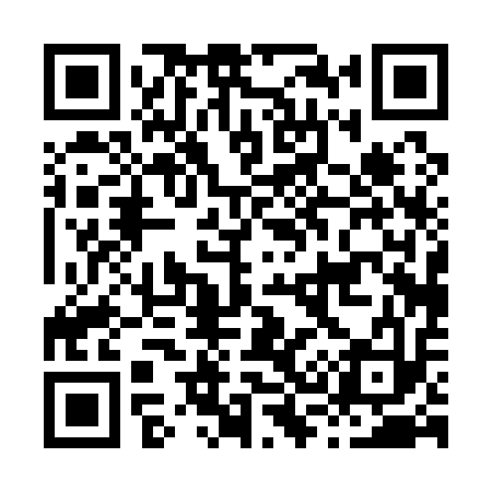 QR code for H30113