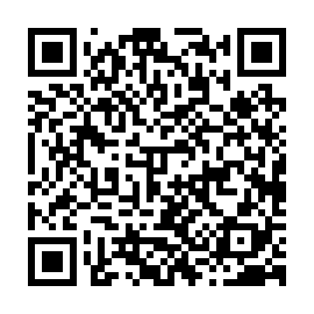 QR code for H30228