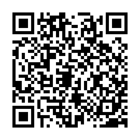QR code for H311816