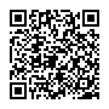 QR code for H312313